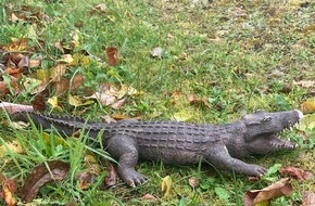 Polizeidirektion Pirmasens: POL-PDPS: Und dann war da noch der sensationelle Reptilienfund im Dahner Kurpark