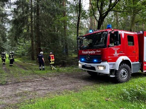 FW-ROW: Großbrand im Beverner Wald: Einsatzkräfte im Kampf gegen die Flammen