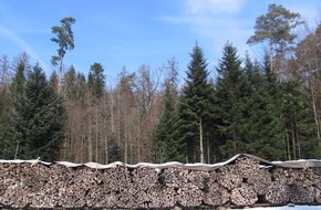 Holzenergie Schweiz: Holzenergie für jedes vierte Schweizer Haus