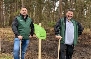 Becher GmbH & Co. KG: Dinslaken erhält 1150 neue junge Bäume