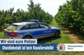 Polizeipräsidium Mainz: POL-PPMZ: Mainz, Obstdiebstahl von Aprikosen