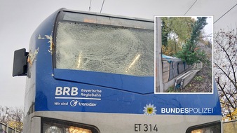 Bundespolizeidirektion München: Bundespolizeidirektion München: Umgestürzter Baum auf den Gleisen