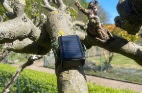 dataMatters GmbH: Urban Tree Intelligence: Smarte Bäume rufen nach Wasser