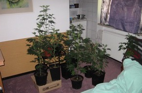 Polizeidirektion Göttingen: POL-GOE: (987/2008) Reger Besuch und abgedunkeltes Fenster - Hanfpflanzen von Polizei in Göttinger Wohnung aufgefunden und beschlagnahmt