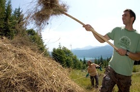Bergwaldprojekt e.V.: Genetischer Anpassungsprozess der Baumarten an den Klimawandel ohne Jagd gefährdet - Bergwaldprojekt-Freiwillige arbeiten in Bad Tölz für Unterstützung der Jagd