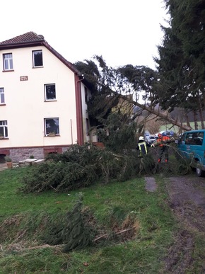 FW Lügde: Flächenlage für die Feuerwehr Lügde durch das Sturmtief Friederike