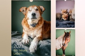 Greenpeace Media GmbH: Der Greenpeace Magazin-Kalender 2023 zeigt Porträts charakterstarker Tierpersönlichkeiten, die aus Notsituationen befreit wurden und nun ein neues und gesundes Leben führen dürfen