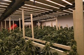 Polizei Rhein-Erft-Kreis: POL-REK: 260721-5: Cannabisplantage in Wohnhaus entdeckt