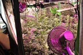 Kreispolizeibeh&ouml;rde Rhein-Kreis Neuss: POL-NE: Polizei hebt Cannabis-Plantage in Neuss aus