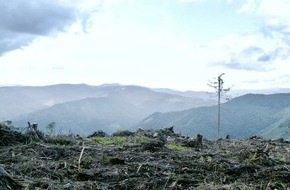 ZDF: Themenschwerpunkt Klima im ZDF: Dokus von "planet e." und "auslandsjournal"