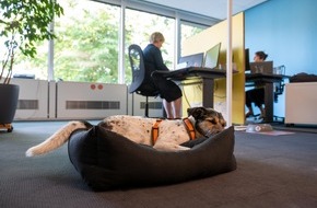 VIER PFOTEN - Stiftung für Tierschutz: Les chiens, un atout sur le lieu de travail