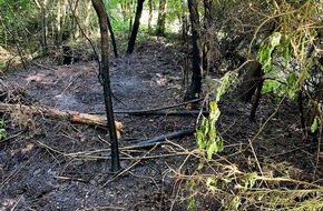 Freiwillige Feuerwehr Stockach: FW Stockach: Brennendes Geb&uuml;sch