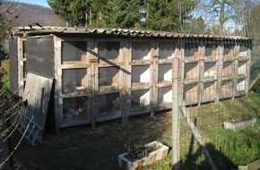 Polizeiinspektion Hameln-Pyrmont/Holzminden: POL-HOL: Holzminden - Ziegeleiweg: 15 Zuchtkaninchen gestohlen - Tatzeit: Montag, 07.02.2011 zwischen 09:00 und 13:00 Uhr -