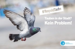 Deutscher Tierschutzbund e.V.: PM - Unterstützung von 30.000 Euro für Stadttaubenprojekt Frankfurt