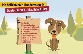 TASSO e.V.: Pressemitteilung: TASSO-Statistik zeigt die populärsten Hunderassen 2019