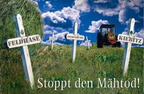 Deutsche Wildtier Stiftung: Beim Mähen wird die Wiese zum Wildtier-Friedhof / Die Deutsche Wildtier Stiftung informiert über Schutzmaßnahmen (mit Bild)