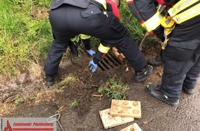 Feuerwehr Plettenberg: FW-PL: Tierischer Vormittag für die Feuerwehr