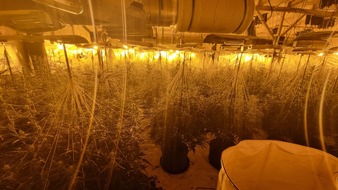 POL-GÖ: (135/2025) Zwei weitere Indoor-Plantagen im Altkreis Osterode entdeckt - Über 2.000 Pflanzen und umfangreiche Anbautechnik beschlagnahmt, 56-Jähriger festgenommen, Ermittlungskommission eingerichtet