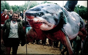 Playboy: Hai-Experte warnt / Angriffe von Haien auf Menschen nehmen dramatisch
zu