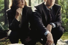 TELE 5: David Duchovny im Tele 5-Interview: "Sex kann gar nicht unmoralisch sein"