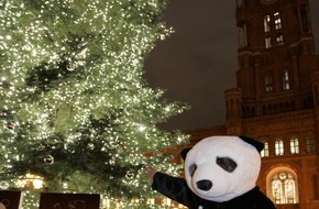 LichtBlick SE: Weihnachtlicher LichtBlick mit 24.000 Lichtern vor dem Roten Rathaus in Berlin / Umweltorganisation WWF und Ökostromanbieter LichtBlick errichten den ökologischsten Weihnachtsbaum Deutschlands