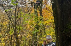 Feuerwehr Stuttgart: FW Stuttgart: Hund aus acht Metern Höhe gerettet