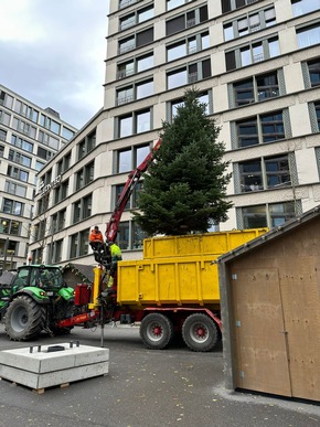 «Zürcher Weihnachtsallee» eröffnet am Donnerstag erstmalig