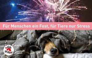 VIER PFOTEN - Stiftung für Tierschutz: Feuerwerksknallerei trübt Feierlaune