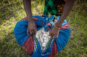 Aid by Trade Foundation Joins International Alliance for Sustainable Cotton Production in Chad