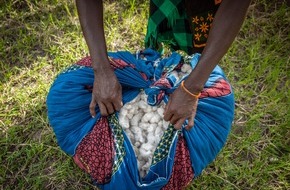 Aid by Trade Foundation: Aid by Trade Foundation Joins International Alliance for Sustainable Cotton Production in Chad