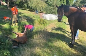 Kreisfeuerwehr Oldenburg: FW-OLL: Pony aus misslicher Lage befreit