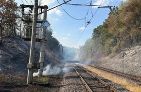 Feuerwehr Bergheim: FW Bergheim: Erweiterte Einsatzinformation - Waldbrand an der Landstra&szlig;e 91bei Oberau&szlig;em