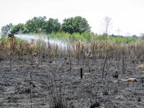 FW-Heiligenhaus: Feuer vernichtete 2.500 Quadratmeter Feld (Meldung 19/2018)