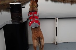 Polizeidirektion Hannover: POL-H: Mittellandkanal: Wasserschutzpolizei findet über Bord gegangenen jungen Hund