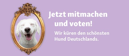 Fressnapf Holding SE: Fressnapf startet Aktion zum Welthundetag: Wer ist der schönste Hund Deutschlands?