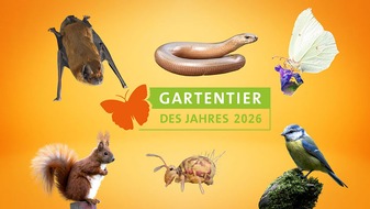 Heinz Sielmann Stiftung: PM Bundesweite Wahl zum Gartentier des Jahres 2026 gestartet