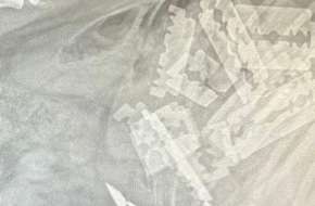 Kreispolizeibeh&ouml;rde M&auml;rkischer Kreis: POL-MK: Hund frisst Rasierklingen und stirbt
