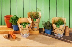 NORMA: NORMA-Bio-Kräuter in neuen Recycling-Töpfen sparen jährlich mehr als sechs Tonnen Rohstoff ein / 100% Recyclingmaterial für nachhaltige Verpackungen