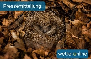 WetterOnline Meteorologische Dienstleistungen GmbH: Igel: Warmer Winter möglicherweise kein Problem