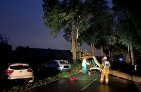 Freiwillige Feuerwehr Tönisvorst: FW Tönisvorst: Ein umgestürzter Baum sorgte für einen Unfall zwischen zwei ausweichenden Fahrzeugen und sorgte für erhebliche Verkehrsstörung, verletzt wurde niemand