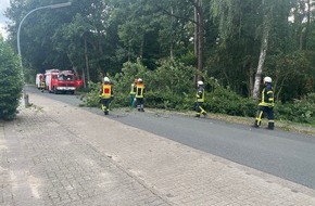 Kreisfeuerwehr Rotenburg (Wümme): FW-ROW: Umgestürzter Baum vor dem Naturbad Zeven