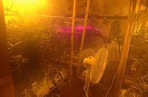 Polizeiinspektion Nienburg / Schaumburg: POL-NI: Indoorplantage ausgehoben