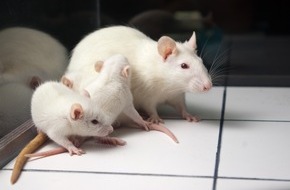 Schweizer Tierschutz STS: La Protection Suisse des Animaux PSA exige une nette réduction des animaux de laboratoire surnuméraires