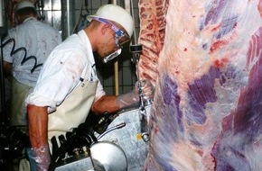 Messe Düsseldorf GmbH: Über 1.200 Aussteller präsentieren auf der A+A das gesamte Themenspektrum für "Sicherheit und Gesundheit bei der Arbeit"