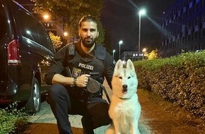 Polizeipräsidium Frankfurt am Main: POL-F: 210520 - 0604 Frankfurt-Bockenheim: Ausgebüxter Husky geht zur Bank