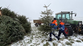 Feuerwehr Weinheim: FW Weinheim: Hand in Hand durch Regen und Schnee. Jugendfeuerwehr sammelt Christb&auml;ume in den Weinheimer Ortsteilen