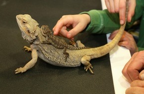 Messe Berlin GmbH: Grüne Woche 2016: Mensch und Tier auf Kuschelkurs / Erlebniswelt Heimtiere lockt mit tierischen Hausgenossen