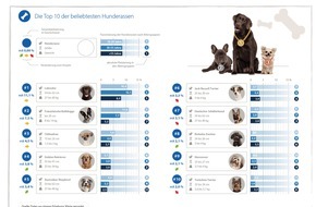 CHECK24 GmbH: Beliebteste Hunderassen: Französische Bulldogge ist Labrador auf den Fersen