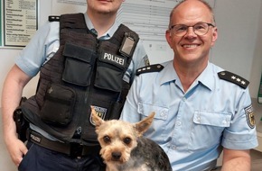 Bundespolizeidirektion München: Bundespolizeidirektion München: "Rocky auf Abwegen - Bundespolizei bringt Ausreißer sicher zurück"