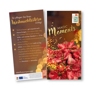 Mehr Erfolg im Weihnachtsgeschäft: Nur noch bis zum 18. September - Weihnachtsstern-Werbemittel sichern